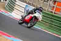 Vintage-motorcycle-club;eventdigitalimages;mallory-park;mallory-park-trackday-photographs;no-limits-trackdays;peter-wileman-photography;trackday-digital-images;trackday-photos;vmcc-festival-1000-bikes-photographs